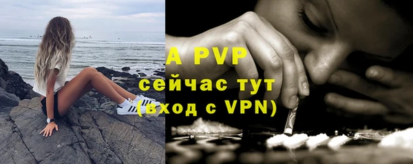apvp Верея