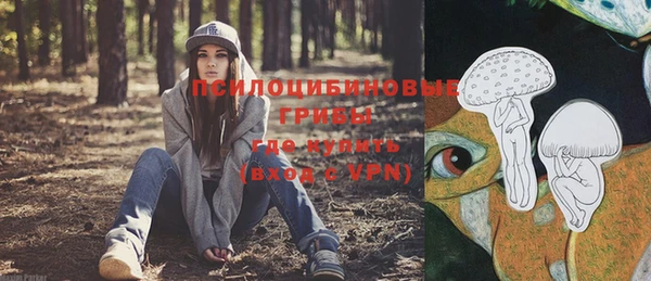apvp Верея